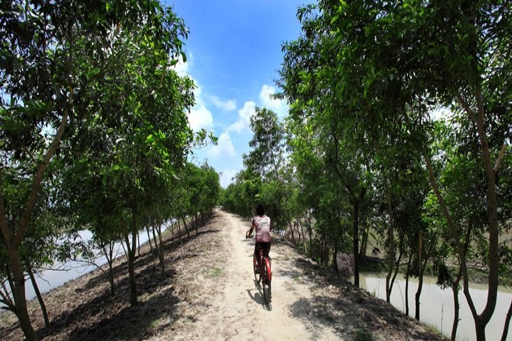 Nisanbaria Flood Control Embankment, Barguna